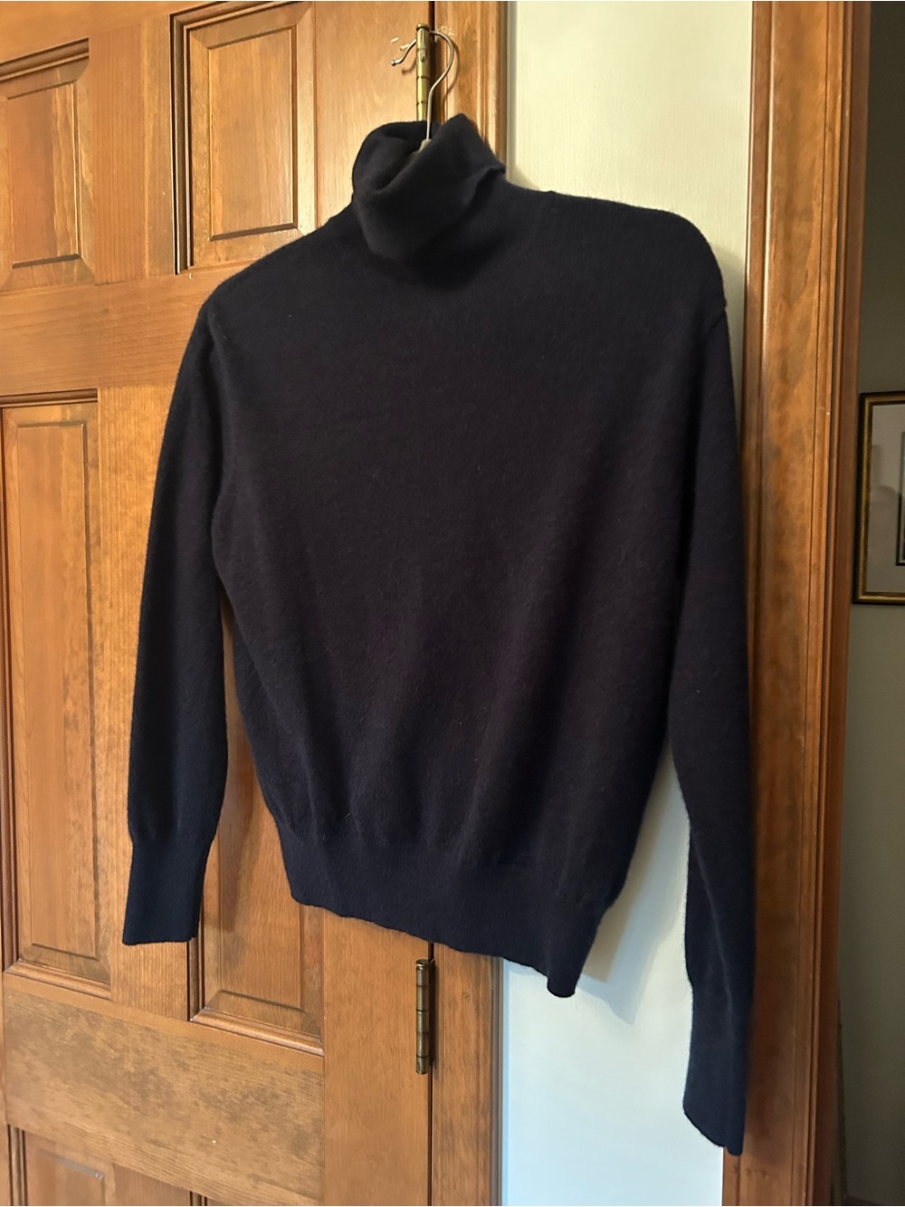 Tuckernuck cashmere  Navy Turtleneck Sweater